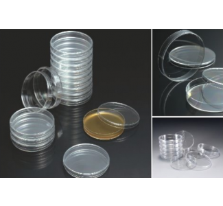 Petri Dish (페트리 디쉬) KA.T10090