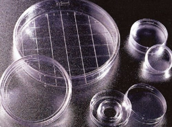 Falcon Gridded 60x15mm Cell Culture Dishes (셀컬처디쉬)