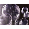 Falcon Gridded 60x15mm Cell Culture Dishes (셀컬처디쉬)