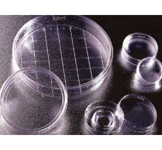 Falcon Gridded 60x15mm Cell Culture Dishes (셀컬처디쉬)