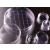 Falcon Gridded 60x15mm Cell Culture Dishes (셀컬처디쉬)