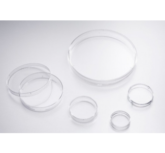Falcon Bacteriological Petri Dishes,Standard (페트리 디쉬 스탠다드)