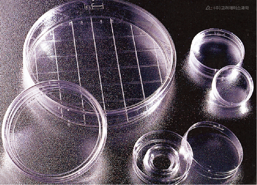 1475d024333f6bc9e93bc96e716035e6_1781849970_2062.PNG