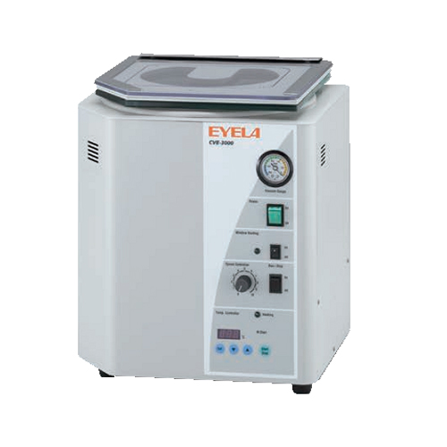 CVE-3000