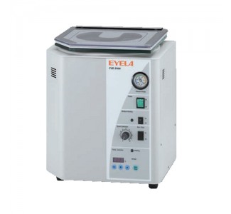 CVE-3000