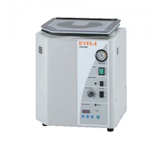 CVE-3110