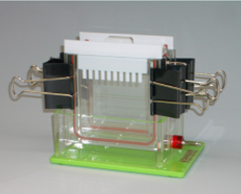 NA-1013  Mini Slab Electrophoresis Apparatus